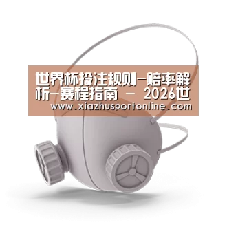 N95 口罩