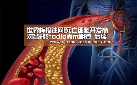 世界杯下注官网