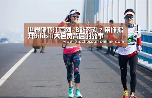 世界杯下注官网-B站药丸?带你揭开Bilibili大会员背后的故事(图2) 世界杯投注网