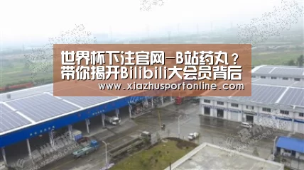 世界杯下注官网-B站药丸?带你揭开Bilibili大会员背后的故事(图3) 世界杯下注平台