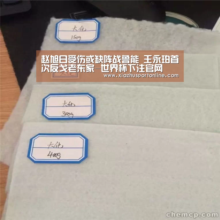赵旭日受伤或缺阵战鲁能 王永珀首次反戈老东家-世界杯下注官网(图1) 世界杯下注官网