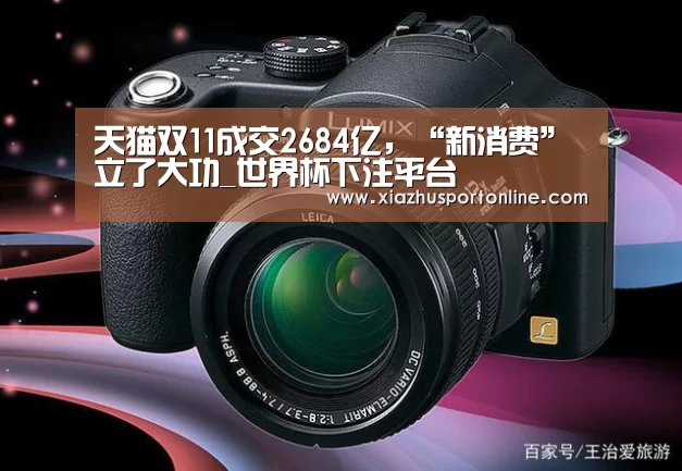 天猫双11成交2684亿,“新消费”立了大功_世界杯下注平台(图1) 世界杯下注